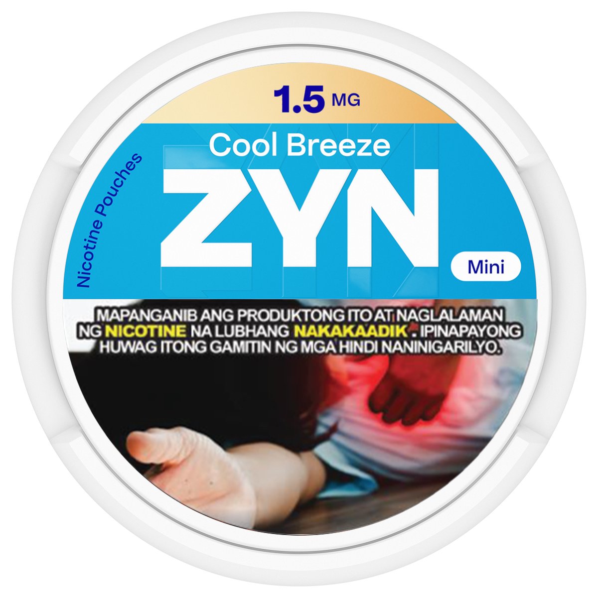 Discover ZYN