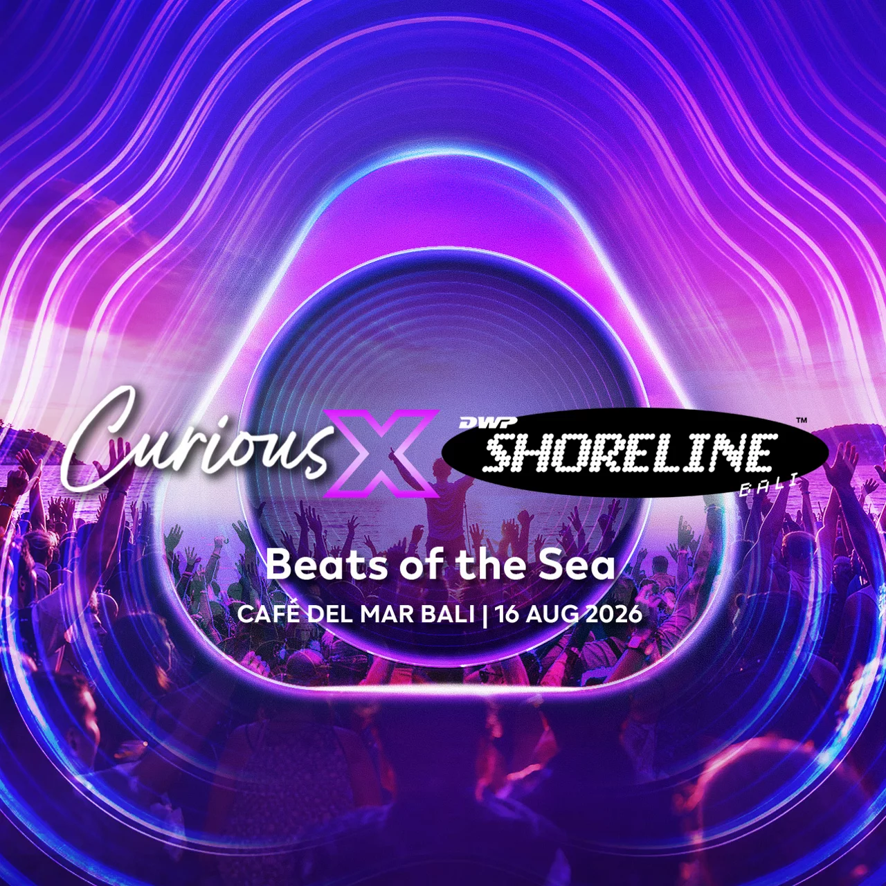 Curious X Shoreline