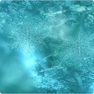 Fruchtiger Hintergrundstruktur