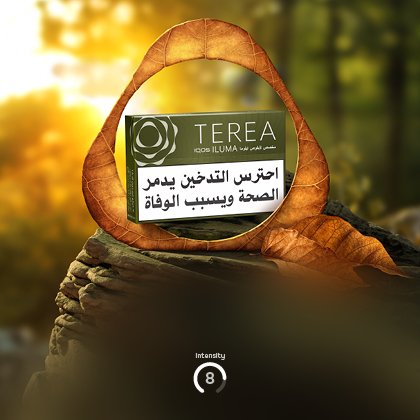 Discover TEREA tobacco Sticks for IQOS ILUMA
