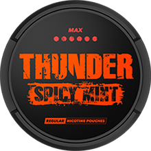 THUNDER Spicy Mint Max Regular Size – schwarze und orangefarbene Dose mit tabakfreien Nikotinpouches