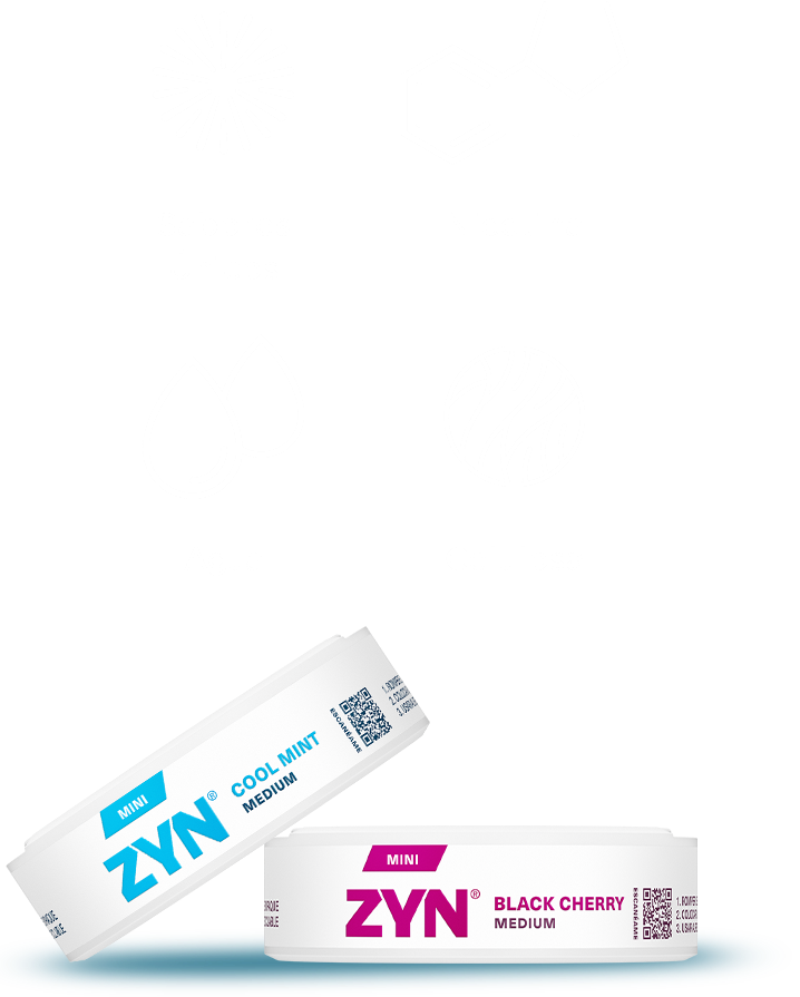 ZYN