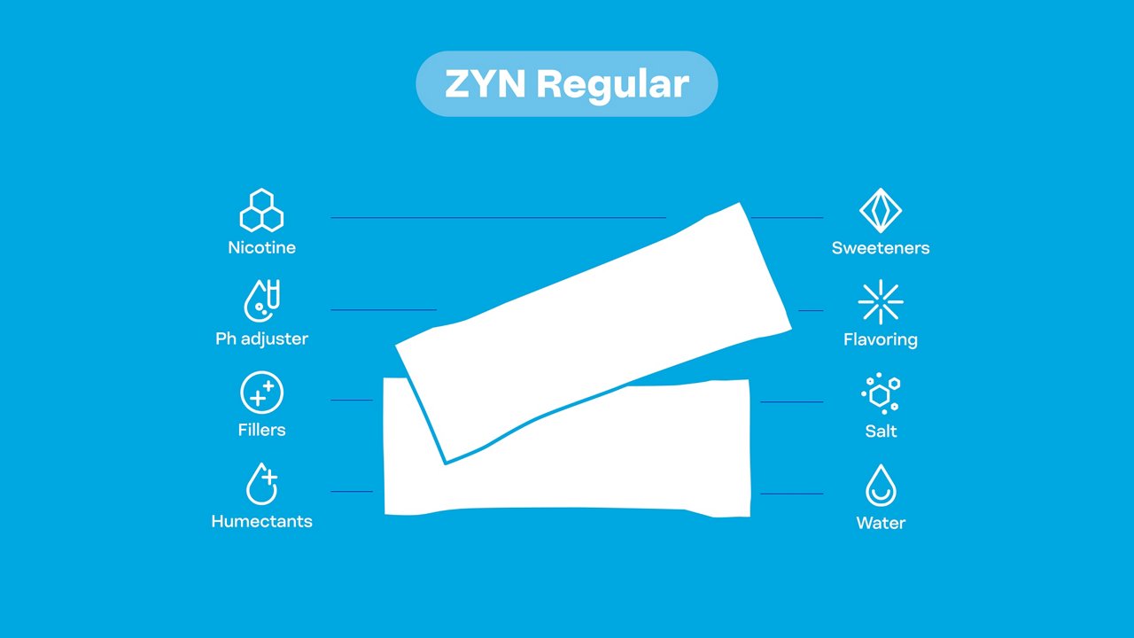 Illustration of 2 ZYN Regular pouches showing their ingredients.