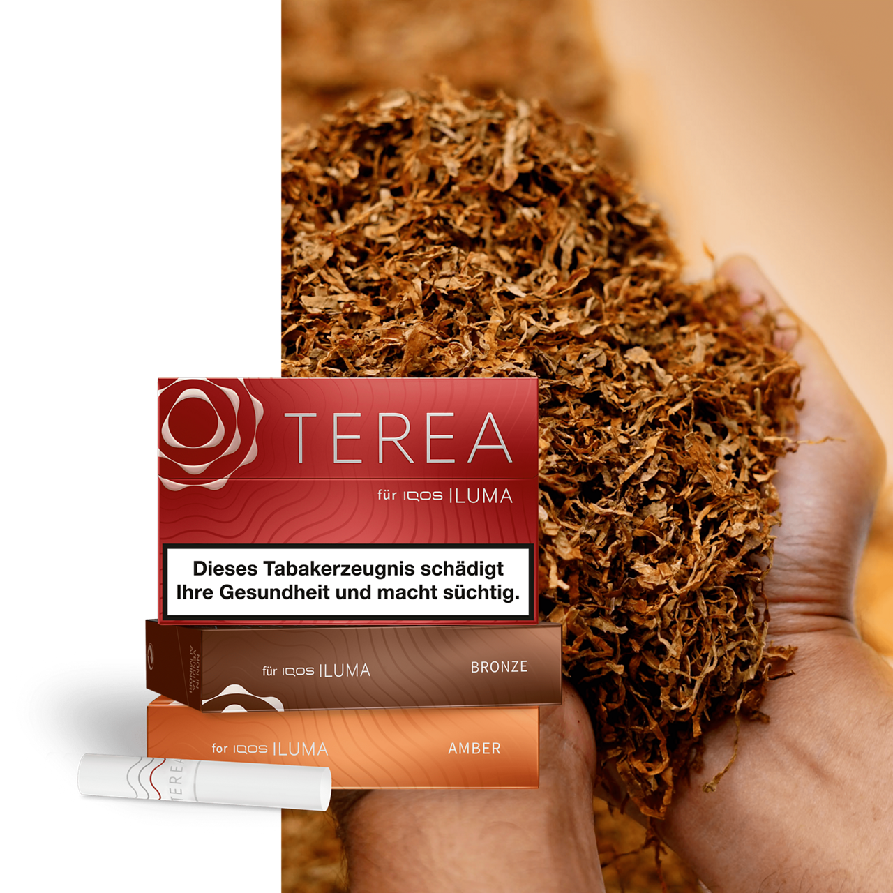 Drei IQOS TEREA Packungen vor einer Handvoll Tabak