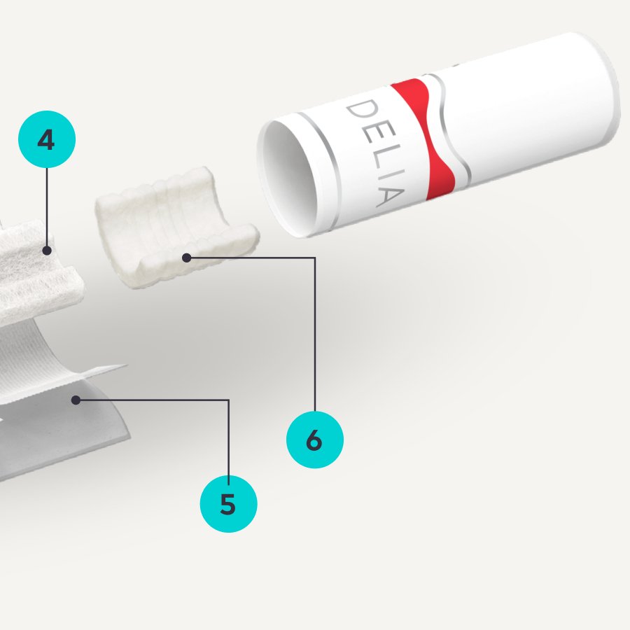 schematischer Querschnitt durch einen DELIA Stick