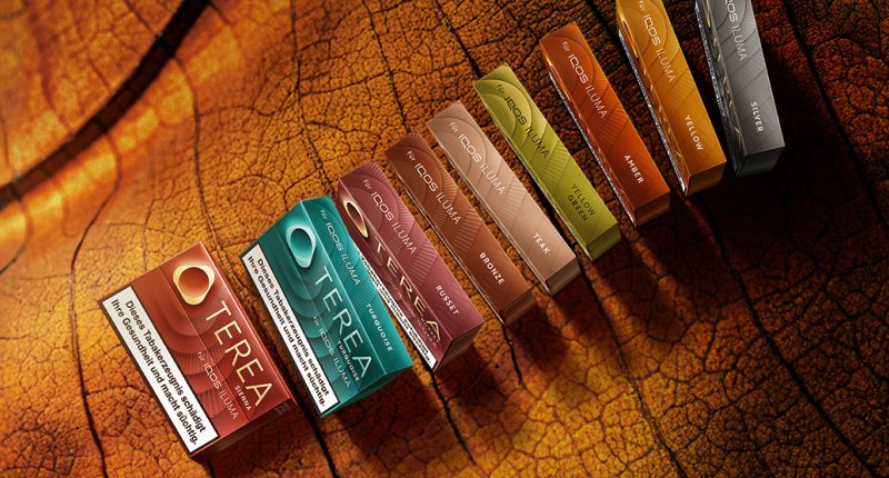 TEREA Tabaksticks abgebildet vor einem Tabakblatt Hintergrund