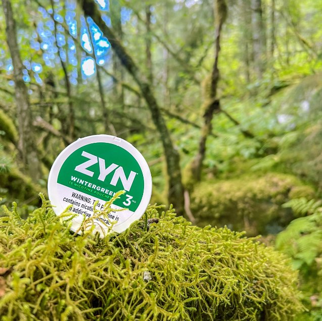 ZYN can in moss