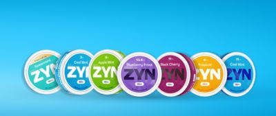 4 ZYN mini cans