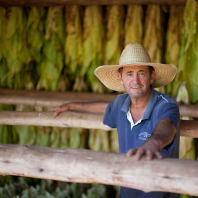 Muž s úsměvem na tváři