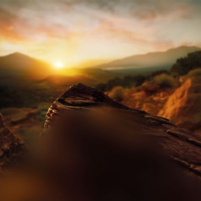 TEREA Amber illustrations