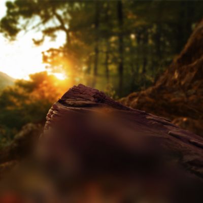 TEREA Bronze illustrations