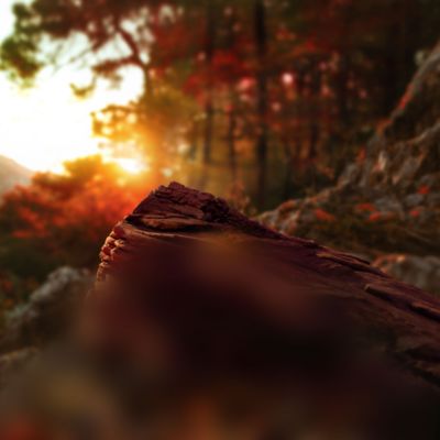 TEREA Sienna illustrations