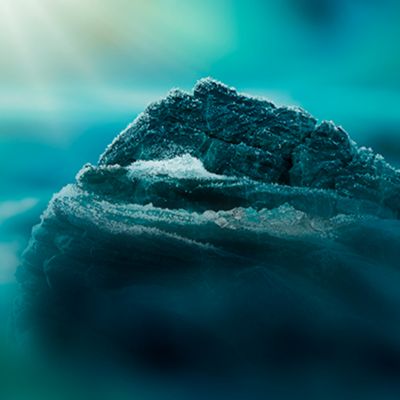 Representación gráfica de TEREA Purple Wave con tonalidades rojizas y frutos oscuros