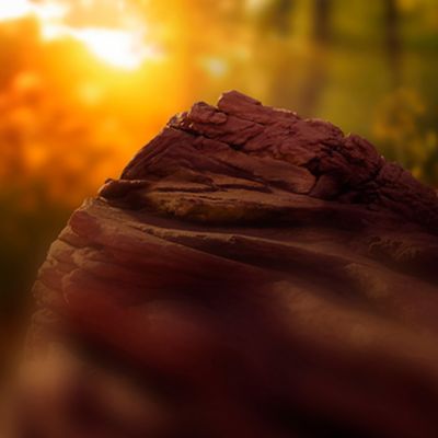 Representación gráfica de TEREA Bronze con mezcla de tabaco y notas de cacao