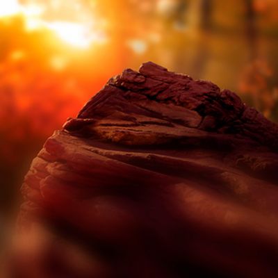 Representación gráfica de TEREA Sienna con tabaco tostado y notas aromáticas