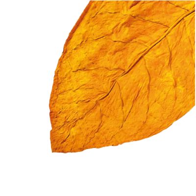 Descubre sabores TEREA