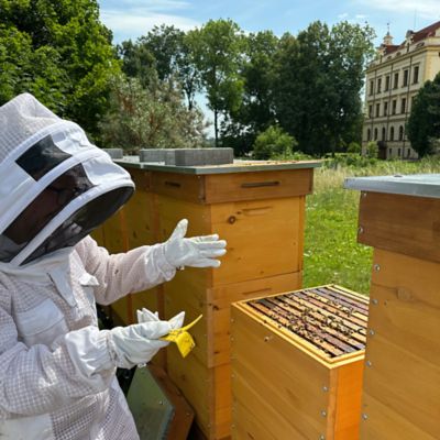 Včelař s úly