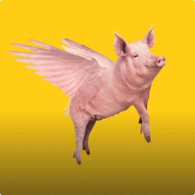 Ilustración de un cerdo volador