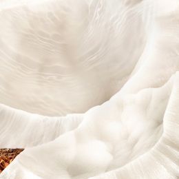 Saveur Melon & Noix de Coco