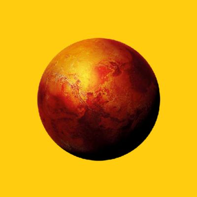 Flying pig illustation