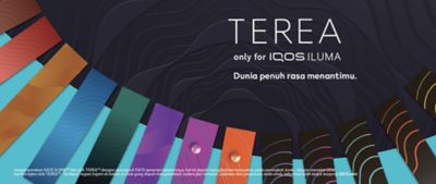 TEREA Piano - Temukan berbagai varian rasa TEREA, mulai dari tembakau fresh, tembakau dengan cengkeh, hingga tembakau dengan capsule.