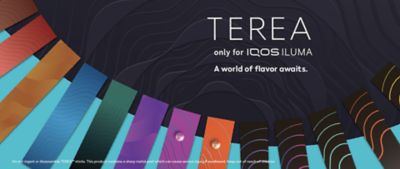 TEREA Piano - Discover a variety of TEREA flavors, from fresh tobacco, tobacco with clove, to tobacco with capsule.