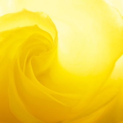 Fiit Yellow a grafika na pozadí 