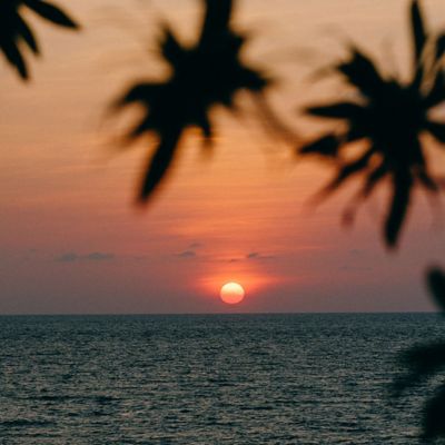 ZYN Socials in La Union