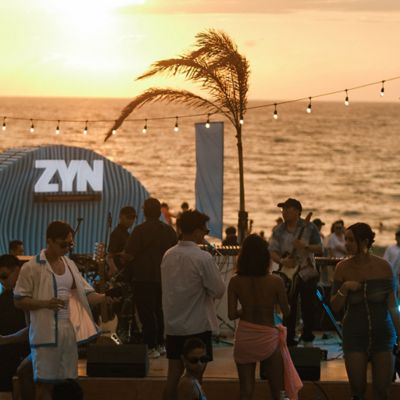 ZYN Socials in La Union