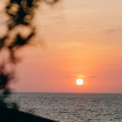 ZYN Socials in La Union