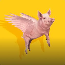Flying pig