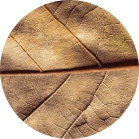 Fiit Regular a grafika na pozadí 