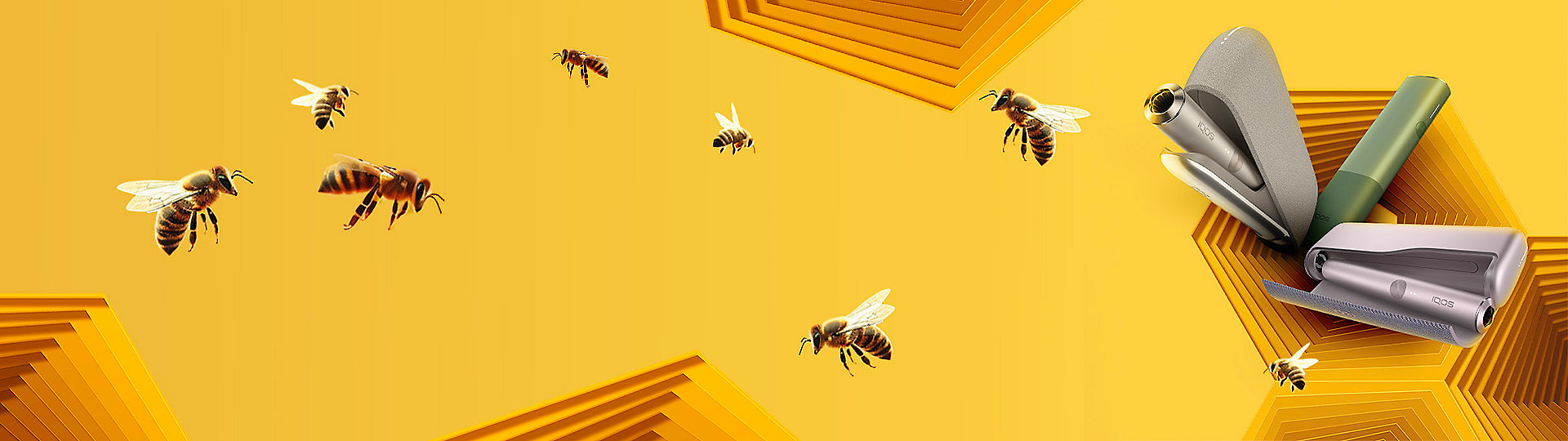 Včely na žlutém pozadí a zařízení IQOS