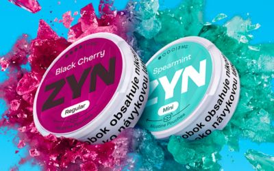 ZYN Black Cherry 11 mg a krabička ZYN Spearmint 3 mg