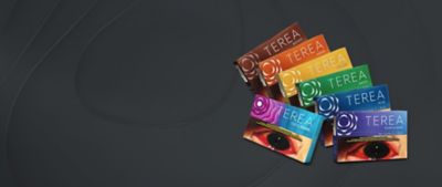 Assorted TEREA tobacco product packages arranged neatly on a clean surface.