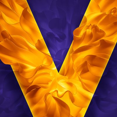 VEEV NOW ULTRA oranžové logo V VEEV na fialovém pozadí