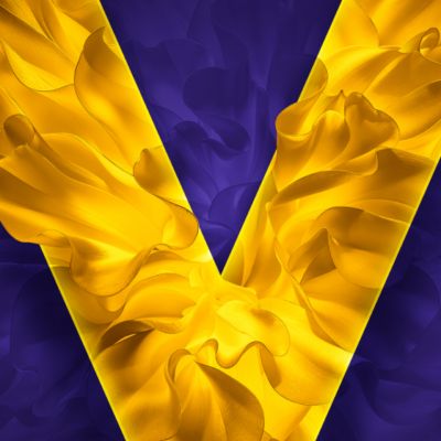 VEEV NOW ULTRA žluté logo V VEEV na fialovém pozadí