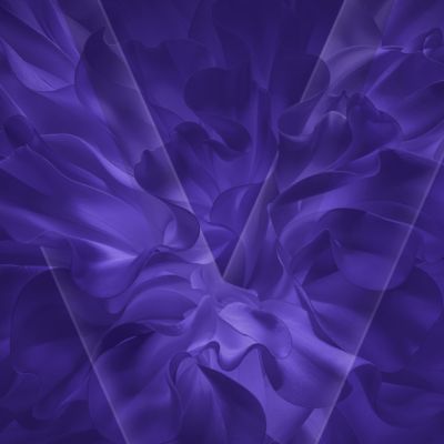 VEEV now ULTRA purple V VEEV logo and background