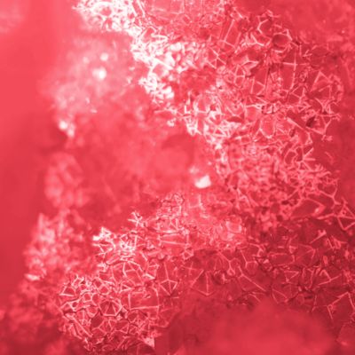 VEEV NOW disposable vape in watermelon flavour