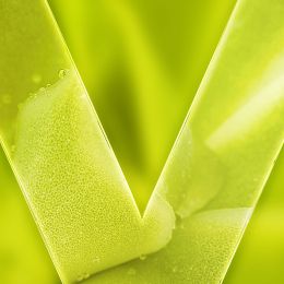 VEEV inPRIME Sour Apple - vape flavour card