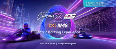 once-in-lifetime-experience-electic-dream