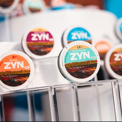 ZYN Moments Festival