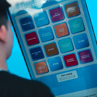 ZYN Moments Festival