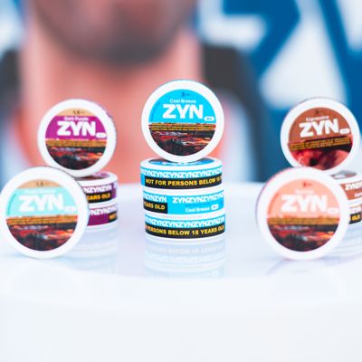 ZYN Moments Festival