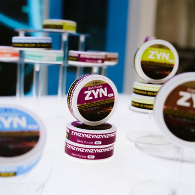 ZYN Moments Festival