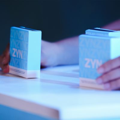 ZYN Moments Festival