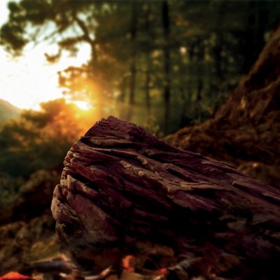 Krabička TEREA Bronze na pozadí krajiny při západu slunce