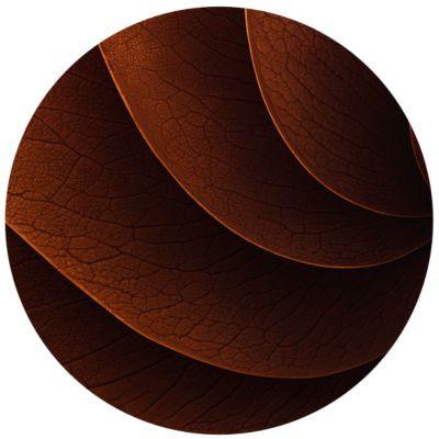 TEREA Bronze illustrations