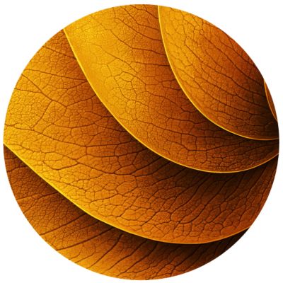TEREA Yellow illustrations