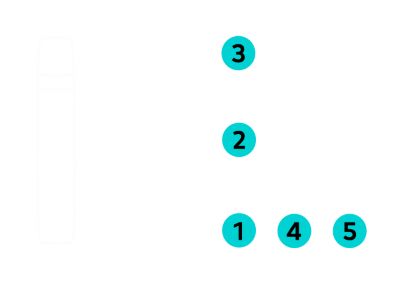 Eine schematische Darstellung eines VEEV ONE Devices